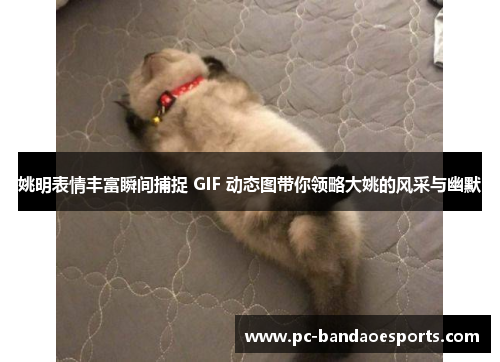 姚明表情丰富瞬间捕捉 GIF 动态图带你领略大姚的风采与幽默